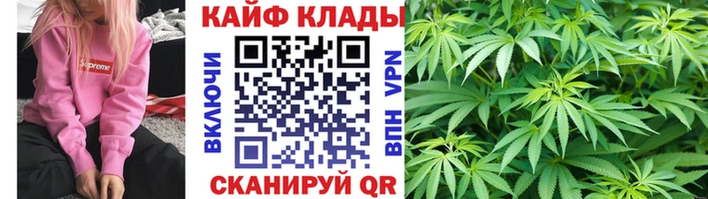 Виды наркотиков купить Шагонар Alpha PVP Псилоцибиновые грибы ГАШ КОКАИН Меф мяу мяу